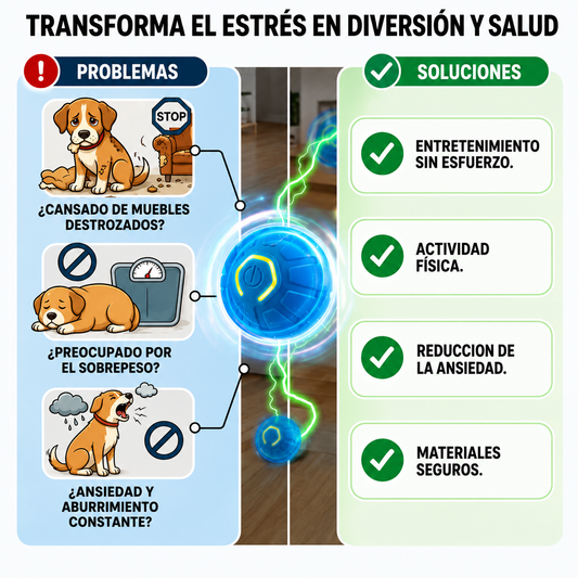 PawBall™ Active | Convierte La Energía En Diversión