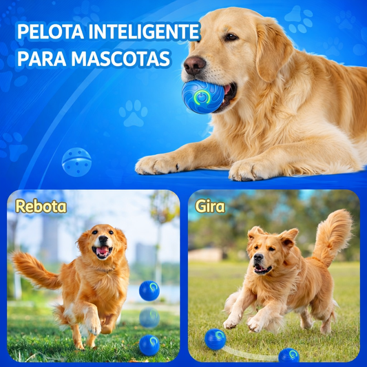PawBall™ - Diversión Inteligente y Sin Destrozos Para Tu Mascota